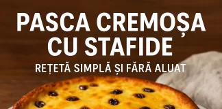 Creamy raisin pasca cake slice on a white plate, showing a smooth, no-dough texture.
